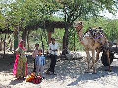 jodhpur (61)